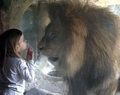 Животные крымского сафари-парка выбрались на волю благодаря 5-летней девочки