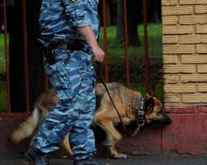 В Черкасской области исчезла двухлетняя девочка