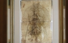 В Лондоне впервые выставили самую полную коллекцию анатомических работ Леонардо