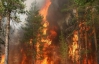 У Ялті загорівся природний заповідник