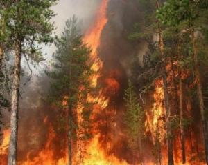 В Ялте загорелся природный заповедник