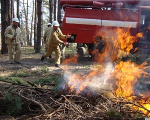 Пожежу в Ялтинському заповіднику локалізовано
