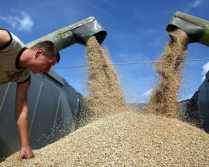 Украина к 7 мая экспортировала вдвое больше зерна, чем в прошлом году