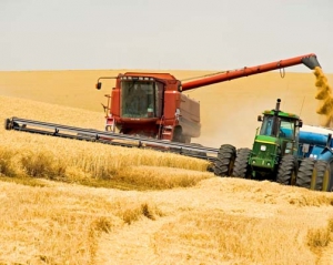 Американцы предсказали снижение урожая в Украине