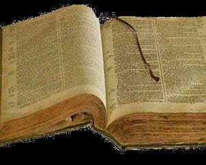 Библия стала самой популярной книгой последних 50-ти лет