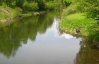 Каналізаційні стоки та хімікати отруїли річку на Тернопільщині