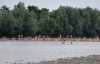 В Киеве открылся купальный сезон, но ни в одном из водоемов купаться "не советуют"