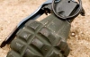 Харьковские милиционеры нашли у прохожего пенсионера 4 боевые гранаты