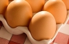 Яйця в Україні подешевшали всредньому до 5,07 гривні - Мінагропрод