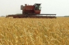 Аномальна спека в Україні знищує врожай