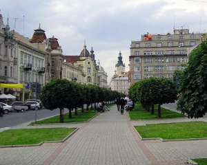 Дерева Львова одягнуть у європейські прапори