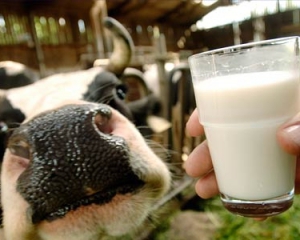 Фермер має продавати молоко по 5 гривень за літр, щоб отримати прибуток