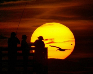 Под знаком высокой солнечной активности пройдет весь 2012-й год