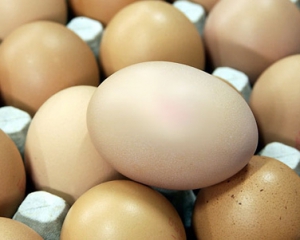 В Украине подешевели яйца