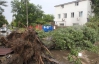Ураган в Киеве выкорчевывал деревья и срывал крыши