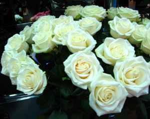 Мадонна вимагає білі троянди всюди