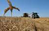 Україна експортувала вже 20,3 млн тонн зерна