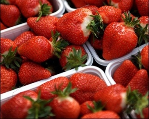 Для їдалень Януковича купили полуницю по 300 гривень за кілограм