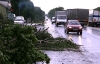 Ураган завалил деревьями трассу "Львов-Тернополь"