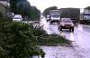 Ураган завалил деревьями трассу "Львов-Тернополь"