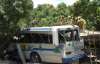 У Мексиці розбився автобус з дітьми: загинули 10 людей
