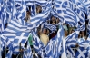На выборах в Греции лидируют сторонники компромисса с ЕС