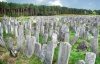 Международная команда упорядочит еврейское кладбище в Бродах