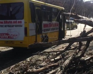 В Днепропетровской области дерево упало на маршрутку: 9 человек пострадали