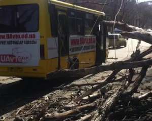 У Дніпропетровській області дерево впало на маршрутку: 9 людей постраждали