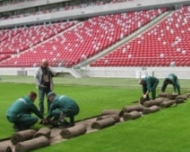 На варшавском стадионе полностью перестелили газон