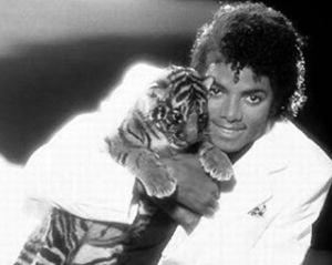 У Каліфорнії померла тигриця Майкла Джексона