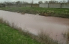 На Одещині річка стала кривавого кольору, але причини не знайдено