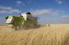 Аномальная жара угрожает позднему урожаю зерновых