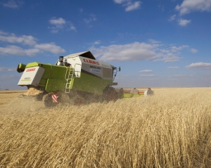 Аномальная жара угрожает позднему урожаю зерновых