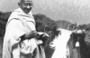 Индия не разрешила продать документы Ганди на аукционе