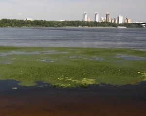 Київські пляжі закривають через неприйнятну поведінку киян