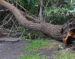 На Киевщине непогода ранила 4 человек