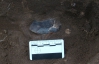 Луганские археологи нашли уникальное поселение древних людей