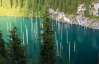 Під водою озера Каїнди більш як сто років зеленіють сосни