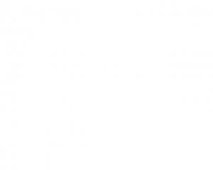 Голубці для мітингувальників готували всією вулицею