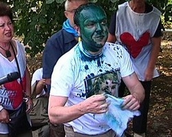 Власенко хочет посадить "террористку с зеленкой" на пять лет