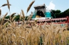 Украина к 18 июля намолотила 14,5 миллиона тонн зерна