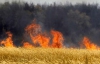 На Черкащине из-за поджога сгорело 28 гектаров озимой пшеницы