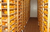 Росспоживнагляд не дозволив українському заводу поставляти сир в Росію