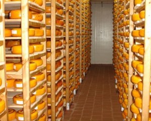 Роспотребнадзор не разрешил украинскому заводу поставлять сыр в Россию