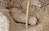Студенти-археологи знайшли ритуальний кам'яний фалос