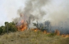 Пожар под Алуштой тушили добровольцы