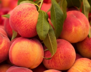 На персиках можно похудеть на 10 килограммов