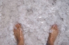В Куяльницком лимане произошло редкое явление выпадения соли