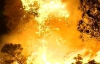 Пожар площадью 100 га на Херсонщине удалось потушить